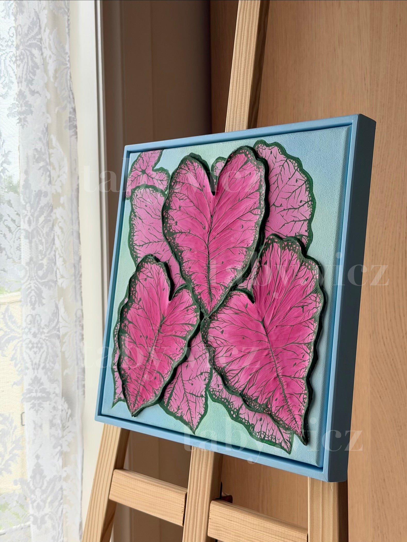 Pink Caladiums