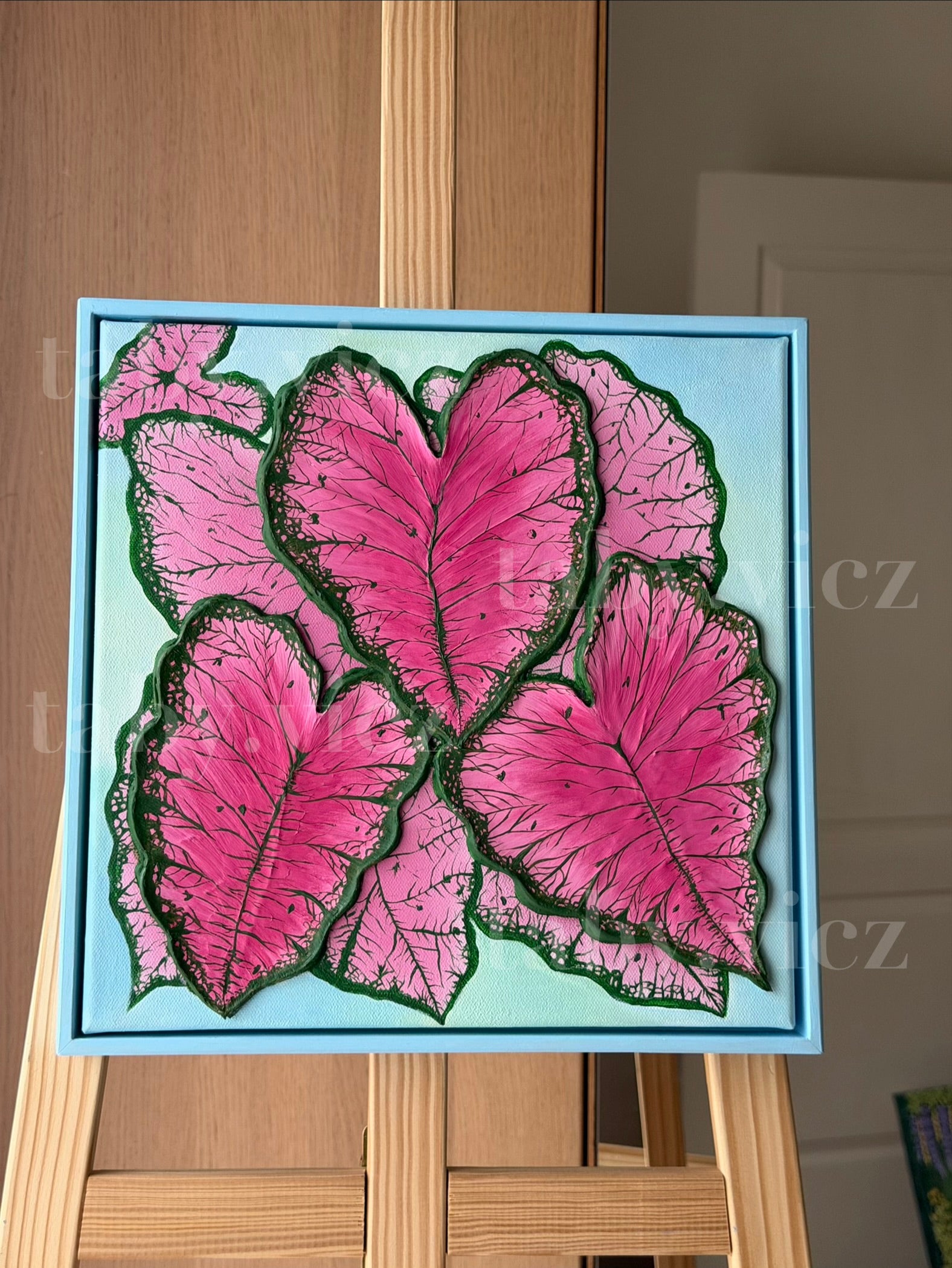 Pink Caladiums