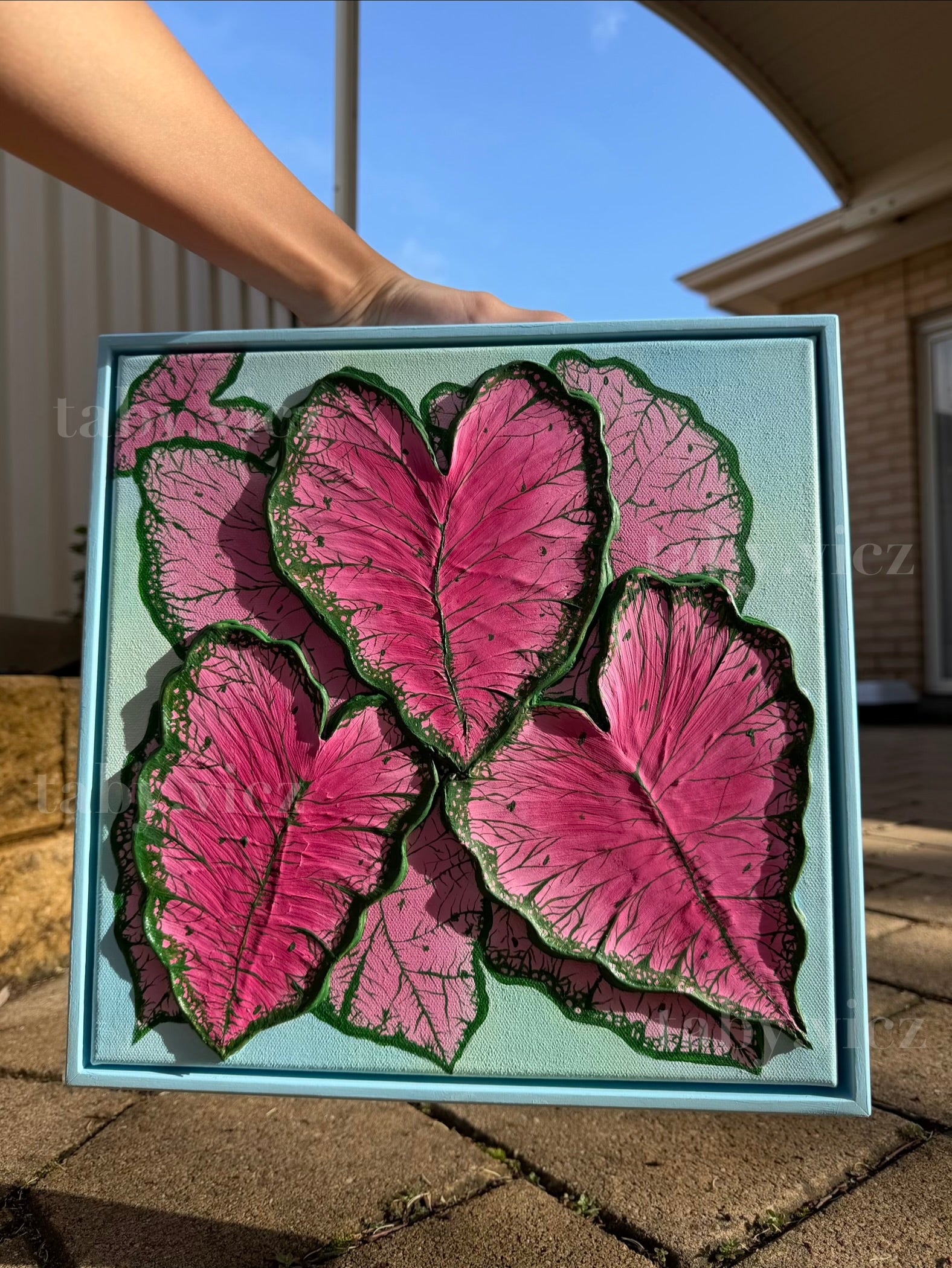 Pink Caladiums